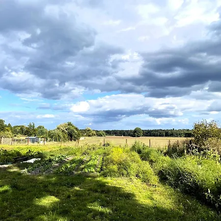 & Steuer Leippe